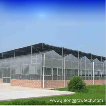 Tomato Hydroponic Growing Systems Polycarbonate Greenhouse